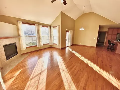 2145 E Rock Ridge Dr, Diamond, IL 60416 photo 12