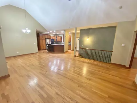 2145 E Rock Ridge Dr, Diamond, IL 60416 photo 15