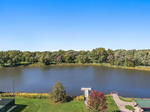 1125 Lancaster Ct, Hoffman Estates, IL 60169 photo 28