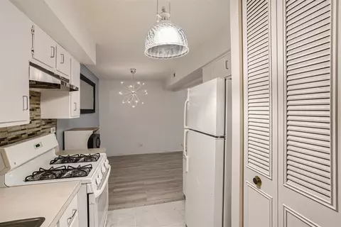 540 Lodge Trl #D, Wheeling, IL 60090 photo 3