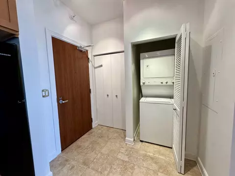 233 E 13th St #604, Chicago, IL 60605 photo 17
