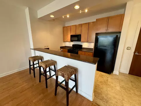 233 E 13th St #604, Chicago, IL 60605 photo 8
