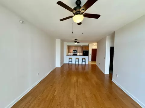 233 E 13th St #604, Chicago, IL 60605 photo 6