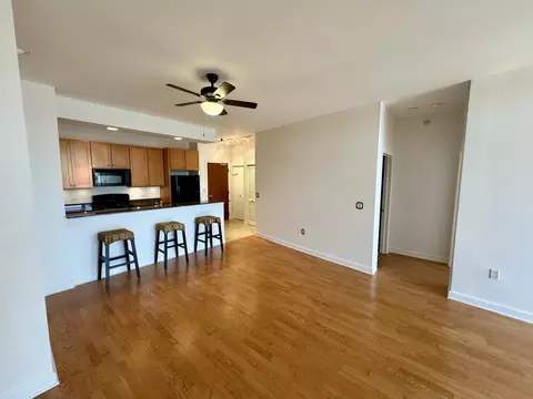 233 E 13th St #604, Chicago, IL 60605 photo 5
