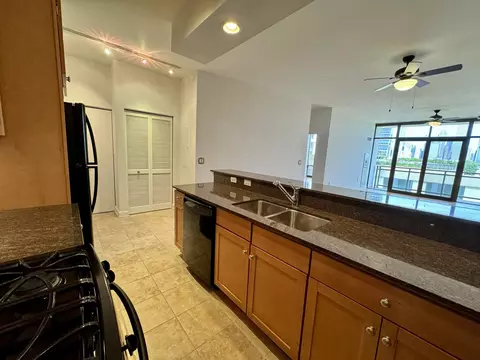 233 E 13th St #604, Chicago, IL 60605 photo 9
