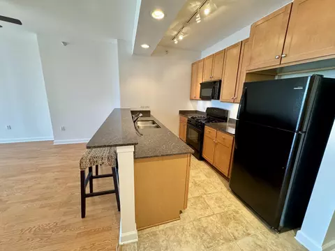 233 E 13th St #604, Chicago, IL 60605 photo 7