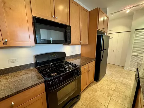 233 E 13th St #604, Chicago, IL 60605 photo 10