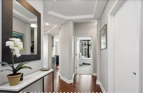 Entry Way - 233 E 13th St #1606, Chicago, IL 60605 photo 2 of 2