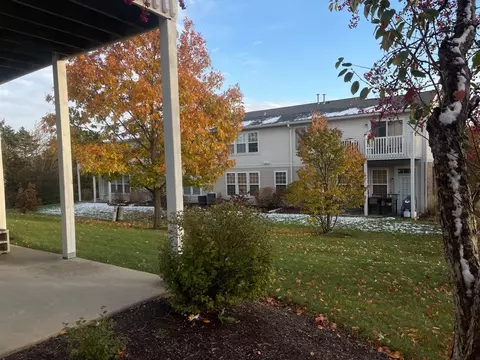 1513 Millbrook Dr #1513, Algonquin, IL 60102 photo 36