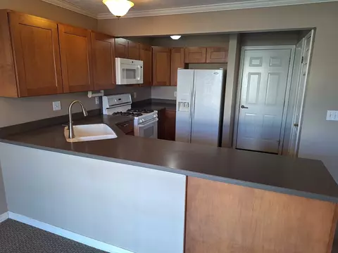1320 Beacon Hill Ct, Normal, IL 61761 photo 4