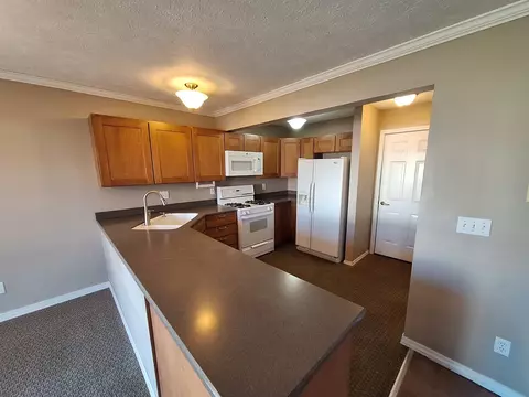 1320 Beacon Hill Ct, Normal, IL 61761 photo 3