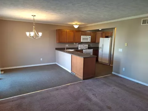 1320 Beacon Hill Ct, Normal, IL 61761 photo 6