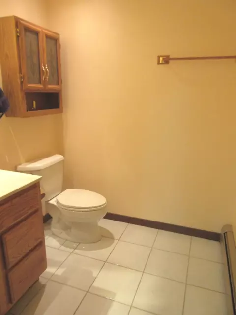 Bath - 342 Miller St, Beecher, IL 60401 photo 1 of 4