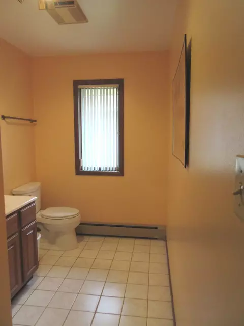 Bath - 342 Miller St, Beecher, IL 60401 photo 4 of 4