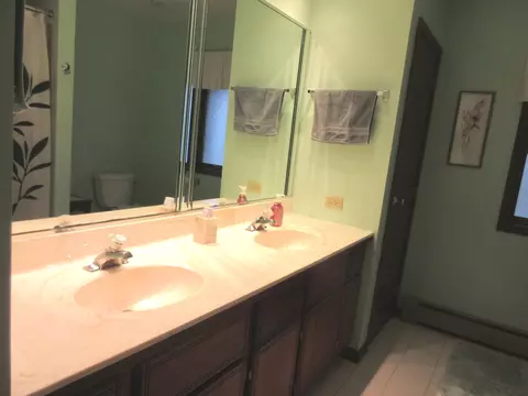 Bath - 342 Miller St, Beecher, IL 60401 photo 3 of 4