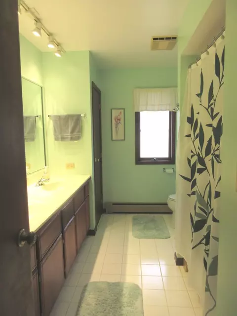 Bath - 342 Miller St, Beecher, IL 60401 photo 2 of 4