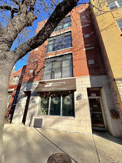 911 N Damen Ave #2, Chicago, IL 60622
