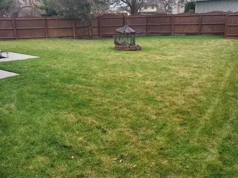 10 Willow Rd, Matteson, IL 60443 photo 37