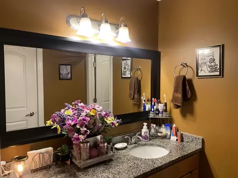 10 Willow Rd, Matteson, IL 60443 photo 17