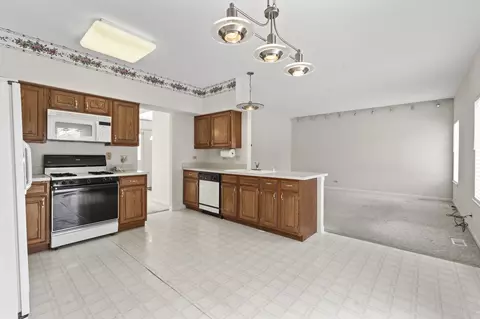 232 Moorehead Dr, Bartlett, IL 60103 photo 9