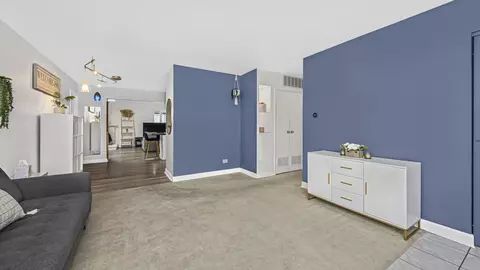 170 Princeton St, Hoffman Estates, IL 60169 photo 11