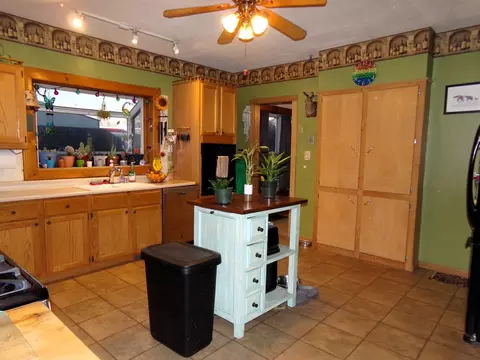 604 S Union St, Dwight, IL 60420 photo 4