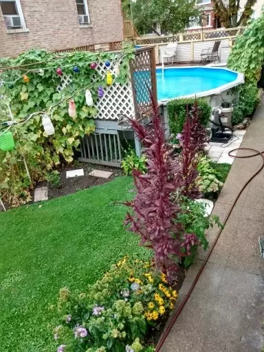 5139 S Artesian Ave, Chicago, IL 60632 photo 3