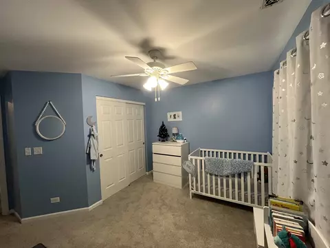 177 Durango Dr, Gilberts, IL 60136 photo 21