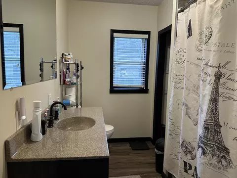 209 E Spencer St, Mclean, IL 61754 photo 13