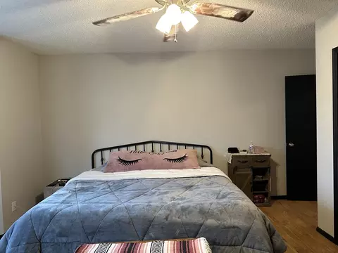 209 E Spencer St, Mclean, IL 61754 photo 11