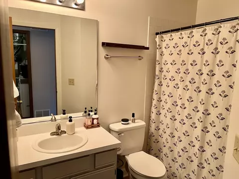 1391 Grayshire Ct, Elgin, IL 60120 photo 17