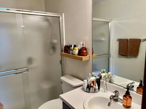 1391 Grayshire Ct, Elgin, IL 60120 photo 16