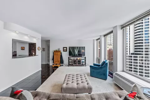 111 E Chestnut St #23G, Chicago, IL 60611 photo 6