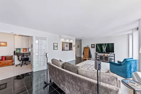111 E Chestnut St #23G, Chicago, IL 60611 photo 7