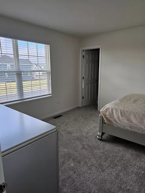 12505 S Willowgate Ln, Plainfield, IL 60585 photo 21