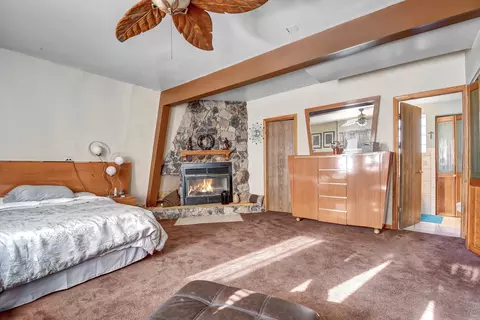 16127 Springfield Ave, Markham, IL 60428 photo 19