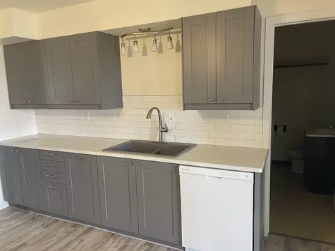 Kitchen - 217 N Albert Ave, Mcnabb, IL 61335 photo 3 of 3
