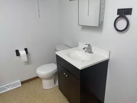 Bath - 217 N Albert Ave, Mcnabb, IL 61335 photo 3 of 4