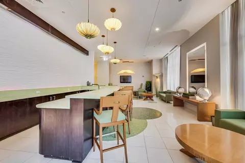 123 S Green St #1010B, Chicago, IL 60607 photo 27