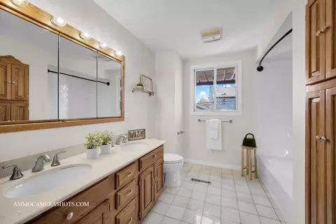 Bath - 1132 Webster Ave, Wheaton, IL 60187 photo 1 of 2