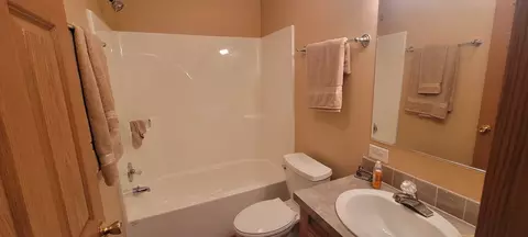5108 Wing Foot Dr, Monee, IL 60449 photo 5