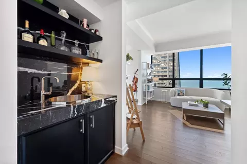 180 E Pearson St #5701, Chicago, IL 60611 photo 38