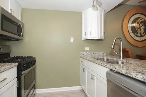 1979 Kenilworth Cir #E, Hoffman Estates, IL 60195 photo 13
