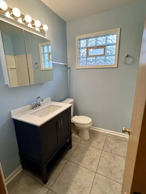 16151 Saint Louis Ave, Markham, IL 60428 photo 13