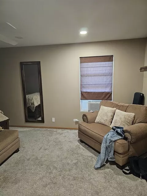 12451 Falcon Dr, Plainfield, IL 60585 photo 10