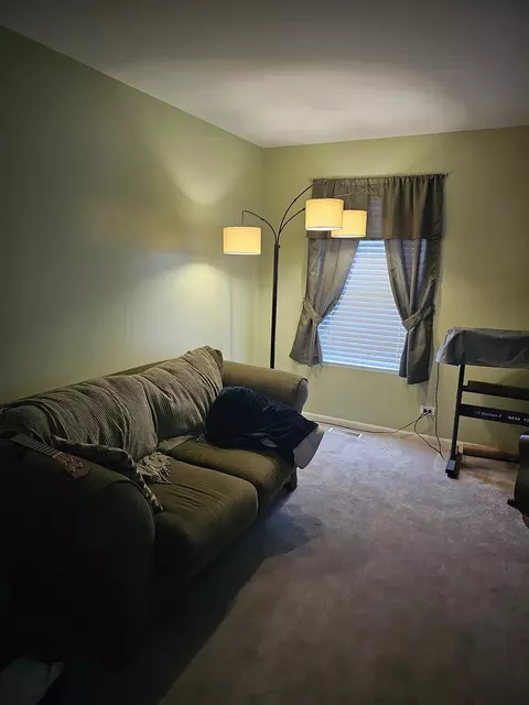 12451 Falcon Dr, Plainfield, IL 60585 photo 20