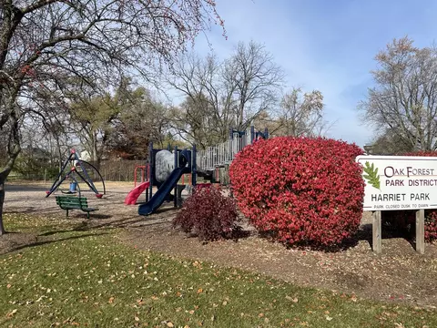 16131 Forest Ave, Oak Forest, IL 60452 photo 20