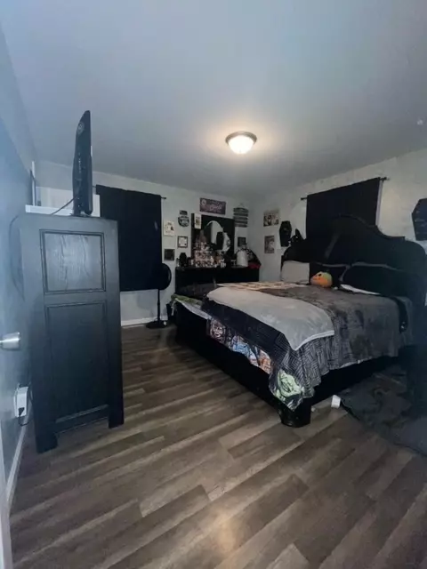 313 E 2nd St, Spring Valley, IL 61362 photo 3