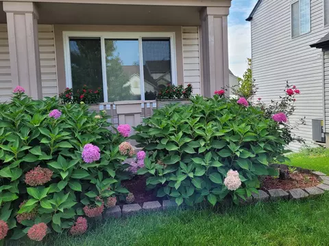 1443 Snow Drift Cir, Bartlett, IL 60103 photo 39