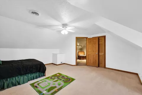 101 W Kyle St, Ogden, IL 61859 photo 33